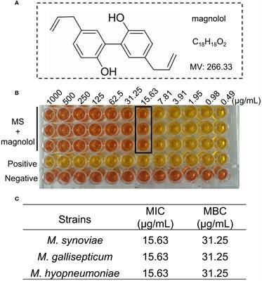 Mechanistic insights of magnolol antimicrobial activity against Mycoplasma using untargeted metabolomic analyses